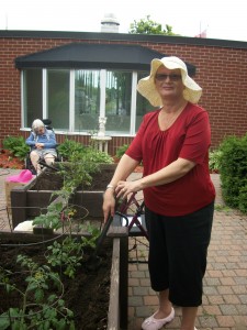 Planting tomatoes in the hospital garden.