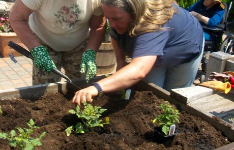 Two women planting flowers in elevated wood framed flower bed